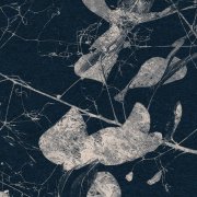 kruhová samolepicí vliesová fototapeta D1-033 - Branch - větev s listy z kolekce Komar Dots - dějiny umění - působivé detaily