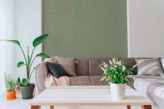 Vliesová tapeta jednobarevná zelená 791522 / Tapety na zeď 79152-2 Nordic Feeling (0,53 x 10,05 m) A.S.Création