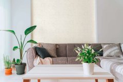 Vliesová tapeta jednobarevná šedo-krémová 791544 / Tapety na zeď 79154-4 Nordic Feeling (0,53 x 10,05 m) A.S.Création