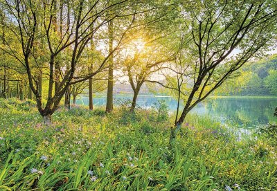 Fototapeta na zeď 8-dílná Spring Lake 8-524 / Fototapety Komar (368 x 254 cm)