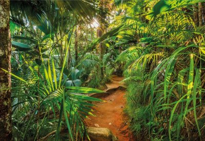 Fototapeta džungle - stezka pralesem Jungle Trail 8-989 / Obrazové tapety a fototapety na zeď Komar (368 x 254 cm)