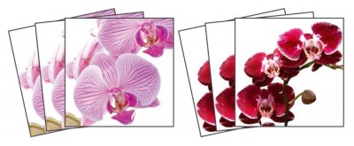 Samolepicí dekorace na kachličky fialová Orchidej TI-011 / Orchids nálepky na kachličky (15 x 15 cm) Dimex