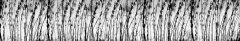 Samolepicí fototapeta na kuchyňskou linku Černobílá tráva KI-350-137 / Fototapety do kuchyně Dimex (350 x 60 cm)