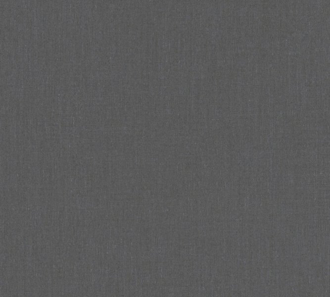 Vliesová tapeta jednobarevná tmavě šedá 650-12 / Tapety na zeď Stylish 100403 (0,53 x 10,05 m) Dekens
