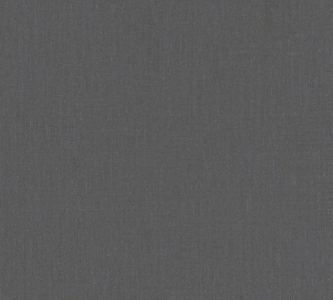 Vliesová tapeta jednobarevná tmavě šedá 650-12 / Tapety na zeď Stylish 100403 (0,53 x 10,05 m) Dekens