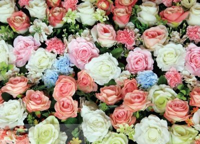 Vliesová fototapeta barevné růže, květy FTNM-2653 / Obrazové vliesové fototapety na zeď 1 dílné (160 x 110 cm) AG Design