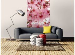 Obrazová tapeta Květy jabloní - vliesová fototapeta DIMEX LINE
