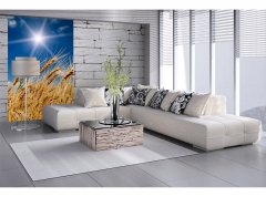 Obrazová tapeta Pšeničné pole - vliesová fototapeta DIMEX LINE