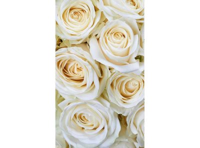 Vliesová fototapeta Bílé růže 150 x 250 cm + lepidlo zdarma / MS-2-0137 vliesové fototapety na zeď DIMEX