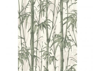 Vliesová tapeta 484847 zelený bambus / Tapety na zeď Florentine III (0,53 x 10,05 m) Rasch
