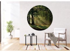 Samolepicí fototapeta Les 140x140 cm CR3310 Magic Forest / kruhové samolepicí vliesové dekorace La Form (ø 140 cm) AG Design