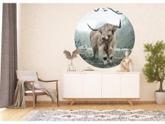 Samolepicí fototapeta Skotský náhorní skot 140x140 cm CR3329 Highlander  / kruhové samolepicí vliesové dekorace La Form (ø 140 cm) AG Design