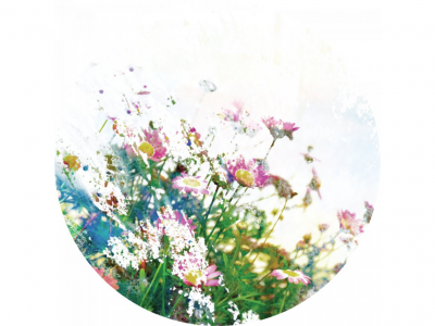 Samolepicí fototapeta Louka 140x140 cm CR3301 Field Flowers / kruhové samolepicí vliesové dekorace La Form (ø 140 cm) AG Design