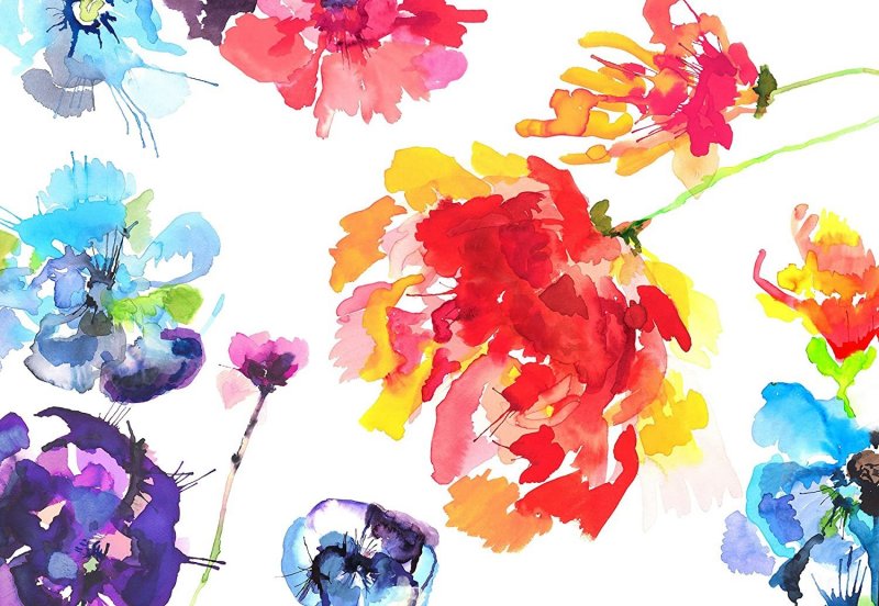 Papírová fototapeta Vášeň, malované barevné květy 368 x 254 cm Sunny Decor / fototapety na zeď Passion SD917 Komar