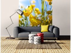 Obrazová tapeta Žluté květiny - vliesová fototapeta DIMEX LINE