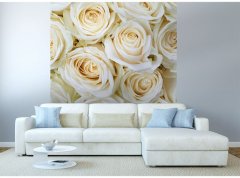 Obrazová tapeta Bílé růže - vliesová fototapeta DIMEX LINE