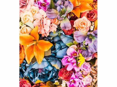 Vliesová fototapeta Sušené květiny 225 x 250 cm + lepidlo zdarma / MS-3-0143 vliesové fototapety na zeď DIMEX