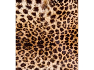 Vliesová fototapeta Leopardí kůže 225 x 250 cm + lepidlo zdarma / MS-3-0184 vliesové fototapety na zeď DIMEX