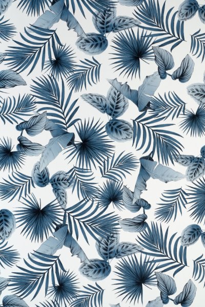 Samolepicí fólie tropické listy 67,5 cm x 2 m 3468234 / samolepicí tapeta UNI Sage Green Matt 346-8234 d-c-fix