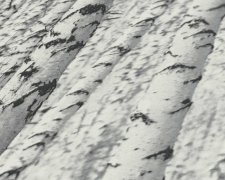 Vliesová 3D tapeta březový les 387191 / Tapety na zeď 38719-1 PintWalls (0,53 x 10,05 m) A.S.Création