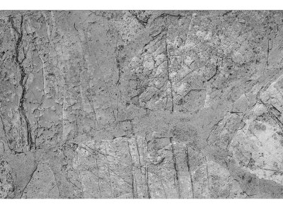 Vliesová fototapeta Betonová podlaha 375 x 250 cm + lepidlo zdarma / MS-5-0173 vliesové fototapety na zeď DIMEX