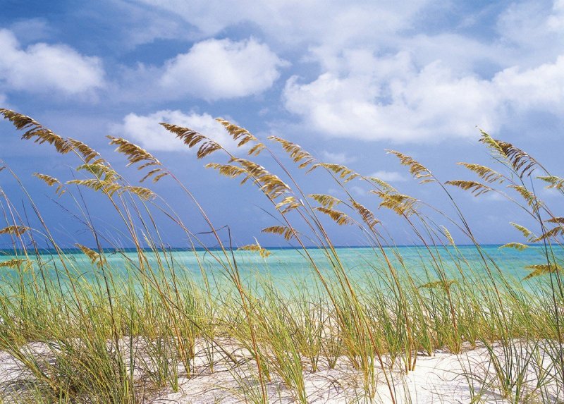 Fototapety na zeď Komar 8 dílné / fototapeta Mořský vánek 8 dílná Ocean Breeze 8-515 (368 x 254 cm)