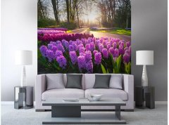 Obrazová tapeta Květiny hyacintu - vliesová fototapeta DIMEX LINE