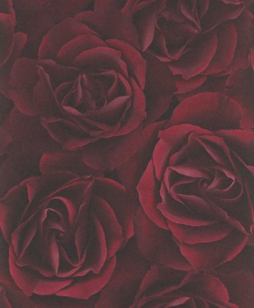 Luxusní vliesová tapeta růže vínově červená 525625 / Tapety na zeď Crispy Paper (0,53 x 10,05 m) Rasch