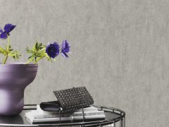 Tapeta beton, stěrka, barva světle šedá, strukturální vliesové tapeta z kolekce Andy Wand od výrobce Rasch