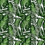 Samolepicí tapeta zelené listy pokojových květin - HOUSE PLANTS samolepící fólie z kolekce Venilia od Gekkofix