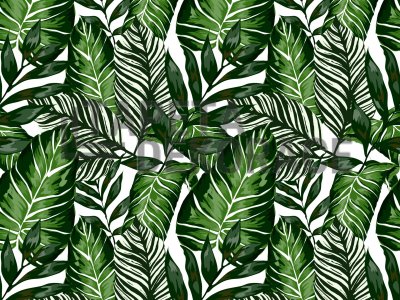 Samolepící tapeta zelené listy pokojových rostlin a květin, šířka 67,5 cm, metráž 55790  / 14126 samolepicí fólie a tapety HOUSE PLANTS Venilia / Gekkofix