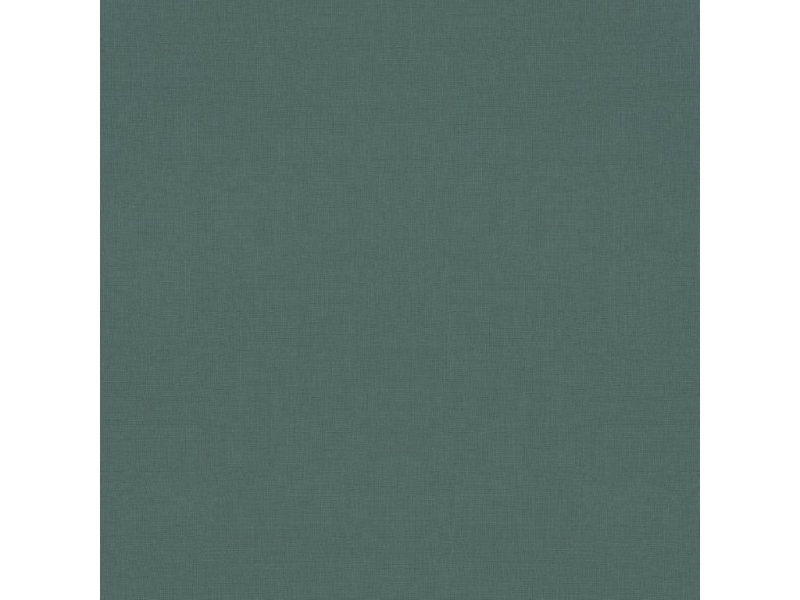 Vliesová tapeta jednobarevná zelená 690750 / Tapety na zeď Symphony (0,53 x 10,05 m) Rasch