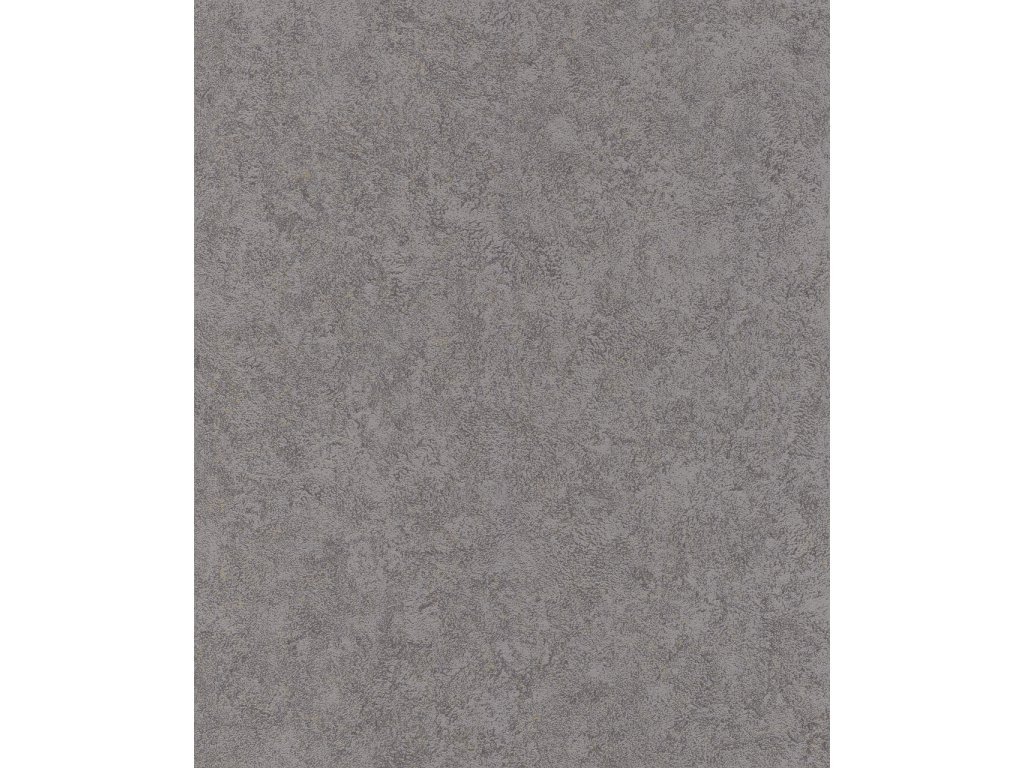 Vliesová tapeta šedý beton, stěrka 649307 / Tapety na zeď Welcome Home (0,53 x 10,05 m) Rasch