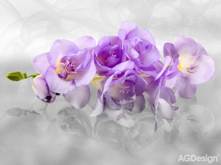 Vliesová fototapeta 3D fialová orchidej FTNXXL-2400 / fototapety na zeď Orchid 3d (360 X 270 cm) AG Design