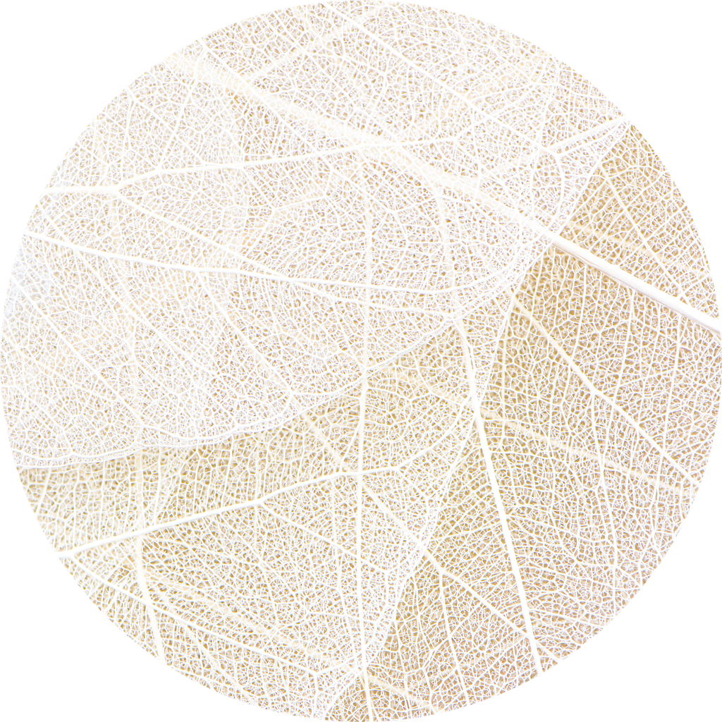 Samolepicí fototapeta Žilky listů 140x140 cm CR3331 White Paths / kruhové samolepicí vliesové dekorace La Form (ø 140 cm) AG Design