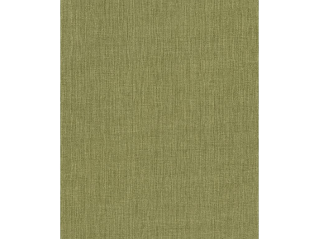 Vliesová tapeta 484755 jednobarevná zelená / Tapety na zeď Florentine III (0,53 x 10,05 m) Rasch