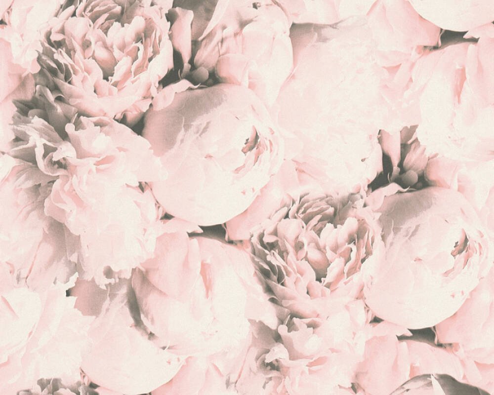 Vliesová tapeta Pivoňky, krémové, růžové květiny 373982 / Tapety na zeď 37398-2 New Studio 2.0 (0,53 x 10,05 m) A.S.Création