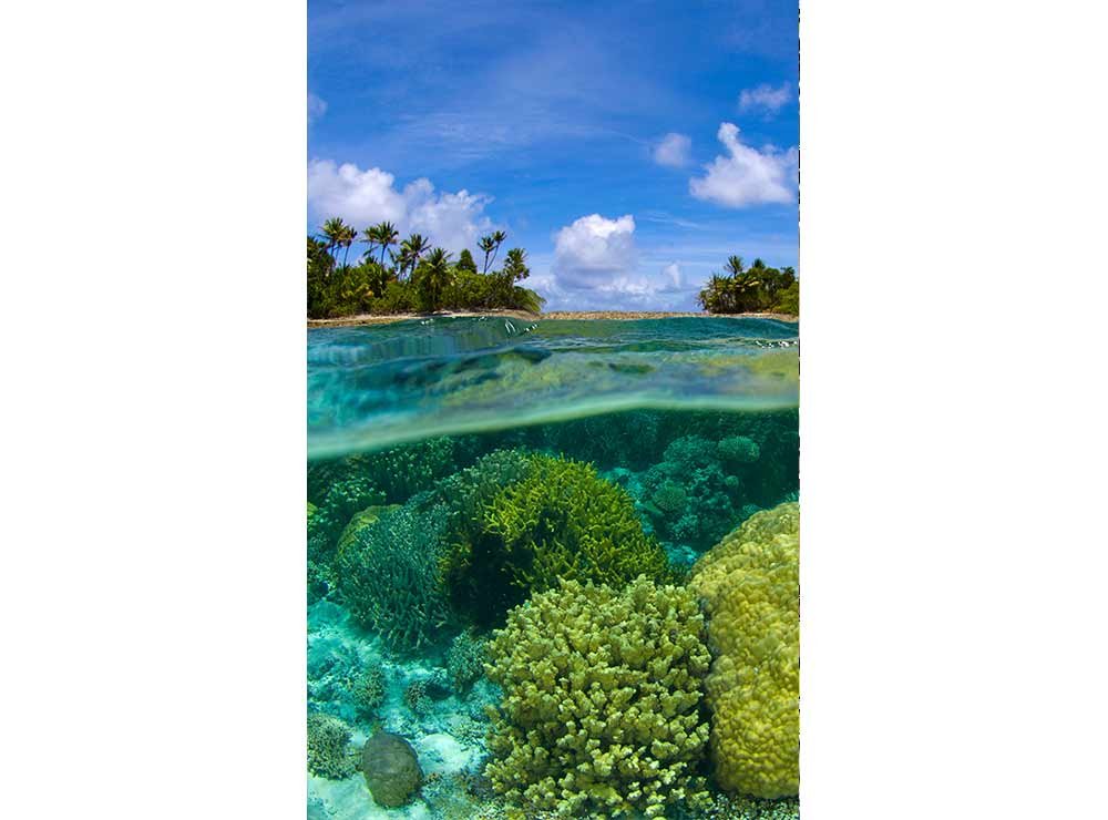 Vliesová fototapeta Korálový útes 150 x 250 cm + lepidlo zdarma / MS-2-0200 vliesové fototapety na zeď DIMEX