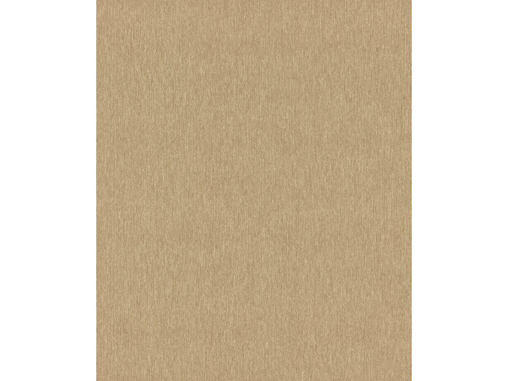 Vliesová tapeta jednobarevná hnědo-zlatá 608618 / Tapety na zeď Sky Lounge (0,53 x 10,05 m) Rasch