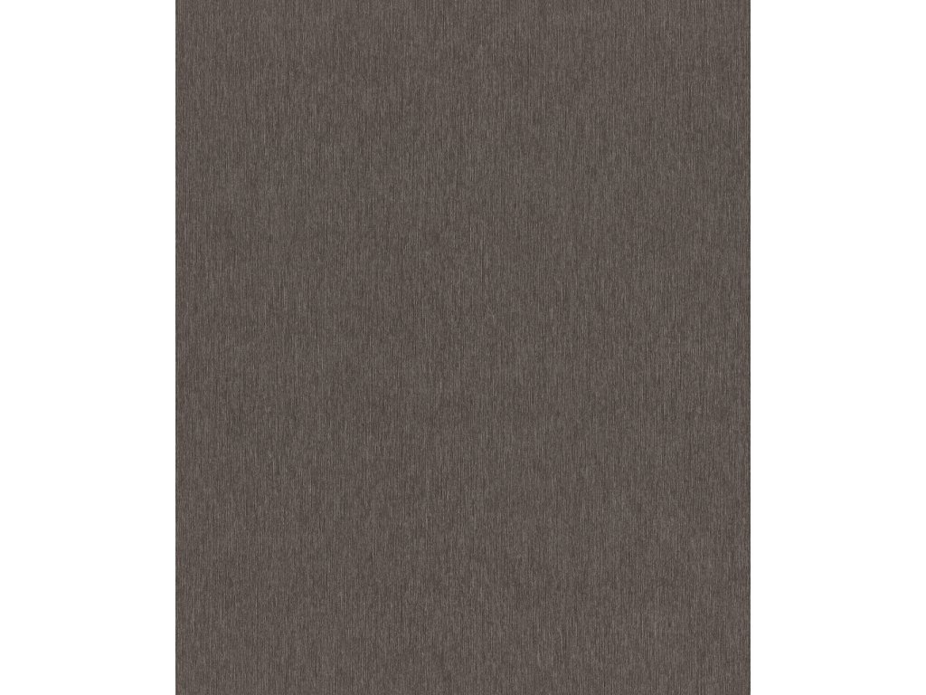 Vliesová tapeta jednobarevná černá s leskem 608625 / Tapety na zeď Sky Lounge (0,53 x 10,05 m) Rasch