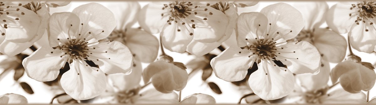 Samolepicí bordura Květy jabloně WB8216 (14 cm x 5 m) / WB 8216 Apple blossom dekorativní samolepicí bordury AG Design
