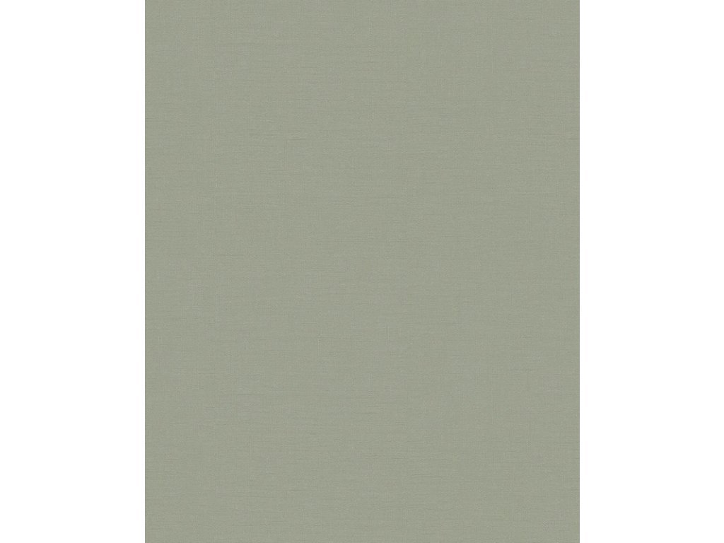 Vliesová tapeta zelená 31839 / Tapety na zeď Schöner Wohnen (0,53 x 10,05 m) Marburg
