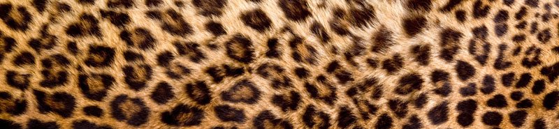Samolepicí fototapeta na kuchyňskou linku Leopardí kůže KI260-069 / Fototapety do kuchyně Dimex (260 x 60 cm)