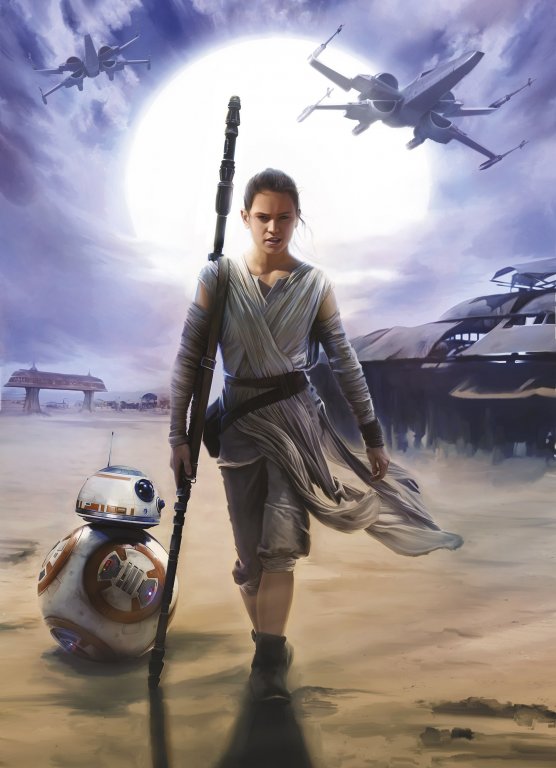 Papírová fototapeta na zeď 4 dílná Hvězdné války 4-448 / Fototapety Star Wars Rey (184 x 254 cm) Komar