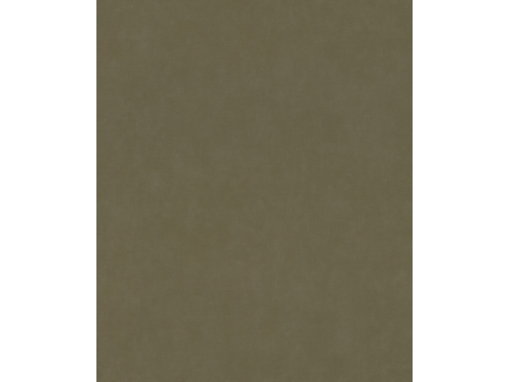 Vliesová tapeta jednobarevná hnědá 330120 / Tapety na zeď Paraiso (0,53 x 10,05 m) Rasch