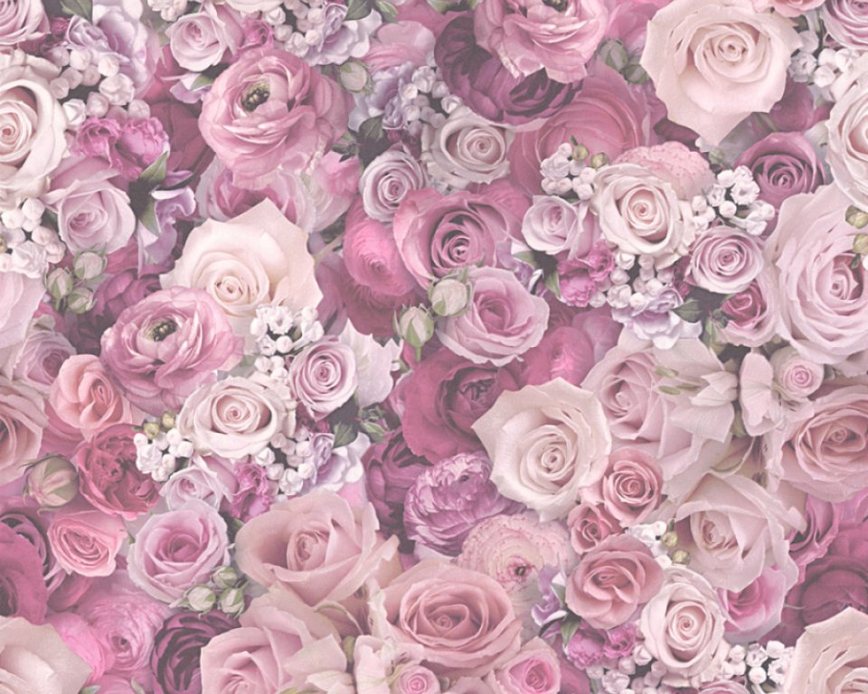 Vliesová tapeta fialové růže 32722-4 / Tapety na zeď 327224 Urban Flowers (0,53 x 10,05 m) A.S.Création