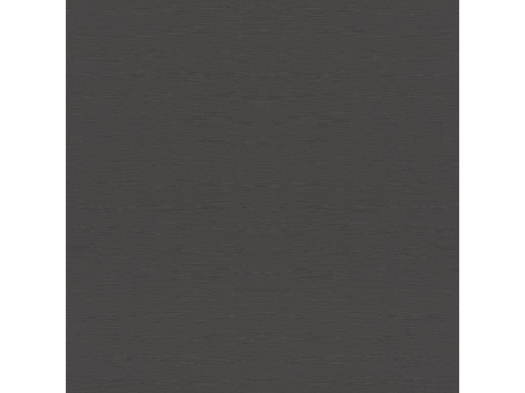 Vliesová tapeta 688023 jednobarevná černá, antracitová / Tapety na zeď Tropical House (0,53 x 10,05 m) Rasch