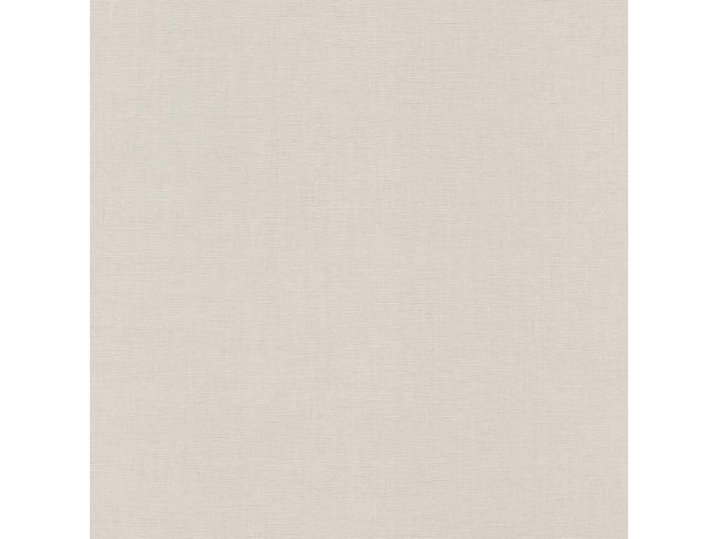 Vliesová tapeta 688047 jednobarevná šedá, stříbrná / Tapety na zeď Tropical House (0,53 x 10,05 m) Rasch