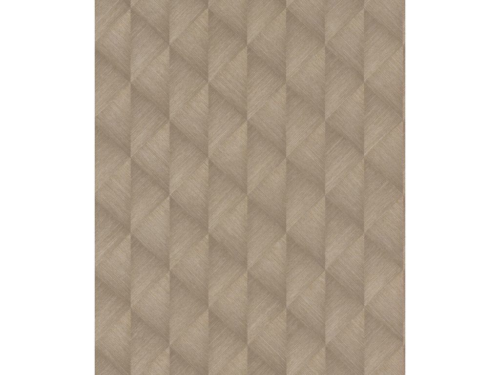Vliesová 3D tapeta 687934 geometrická hnědá / Tapety na zeď Tropical House (0,53 x 10,05 m) Rasch