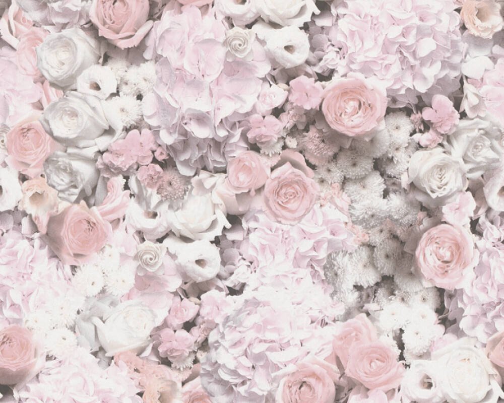 Vliesová tapeta růže, přírodní motiv, růžová, fialová, bílá 380082 / Tapety na zeď 38008-2 Trendwall 2 (0,53 x 10,05 m) A.S.Création
